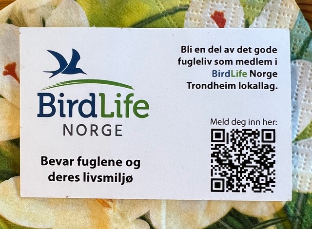 Artikkelbilde til artikkelen Årets ryddedugnad langs Nidelva og Pilegrimsleden